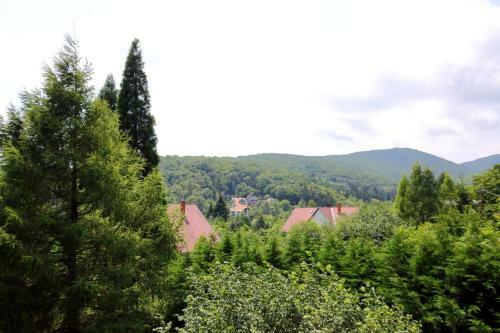 Hostal Velemi Vend�gh�z