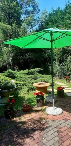 Hostal Velemi Vend�gh�z