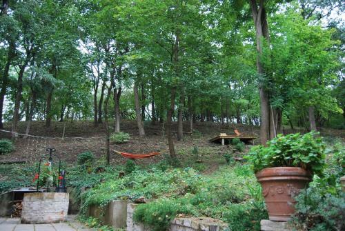 Nobuta Vend�gh�z