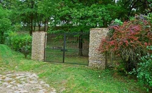 Nobuta Vend�gh�z