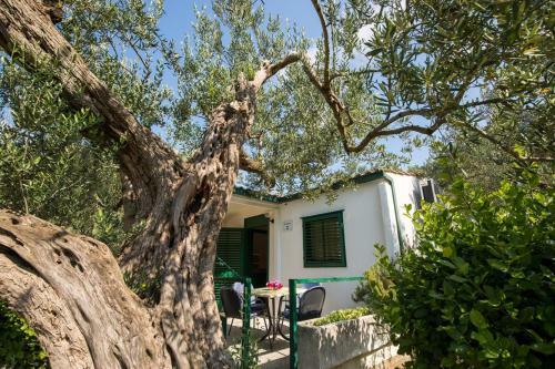 Apartment Klek 16545b