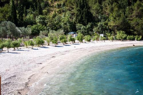Apartamento Villa Maslina Duba