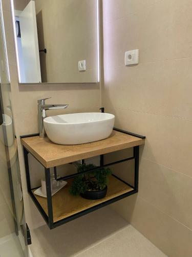 Apartman Roko Duboka