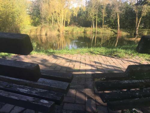 Hostal Pension Runde Wiese