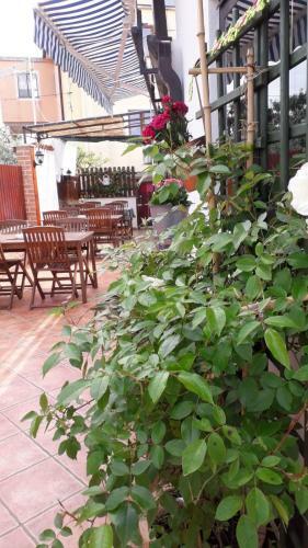 Bed & Breakfast Lavanda