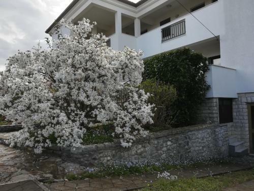 Apartamento Stella Marina