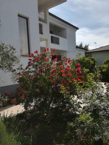 Apartamento Stella Marina