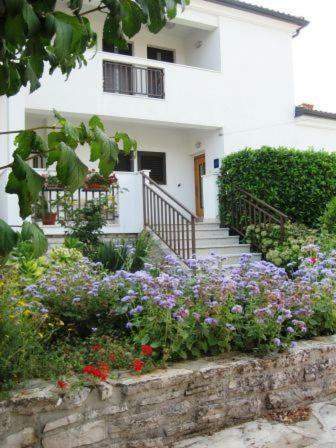 Apartamento Stella Marina
