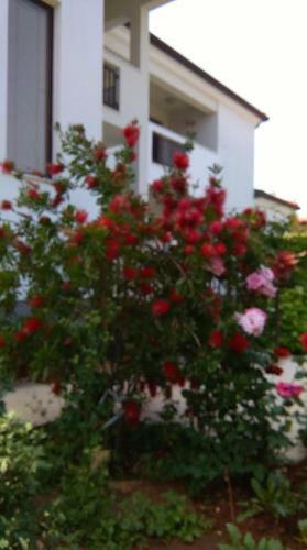 Apartamento Stella Marina