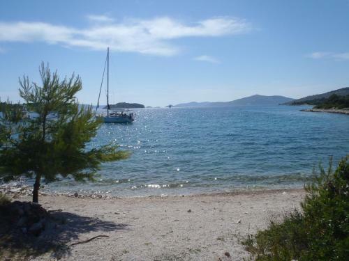 Holiday Batarelo