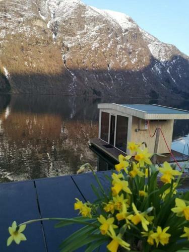 Lodge Sogndal Ski- And Mountain Cabin