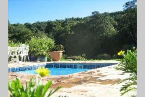 Apartamento Hornbills Forest Cottages