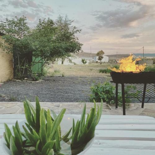 Die Tabakhuis - Karoo (sutherland)