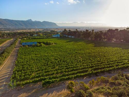 Vineyard Manor At 13 Vines