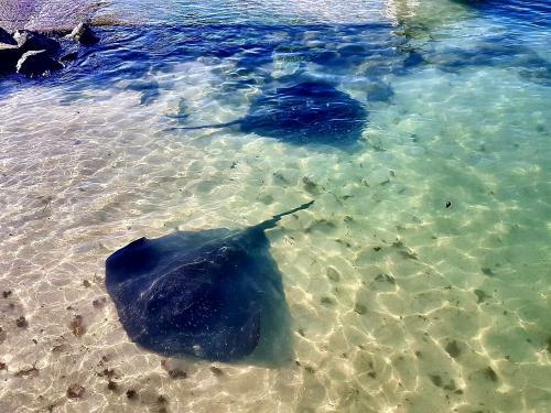 Hostal Oceans Guest House & Luxurious Apartments