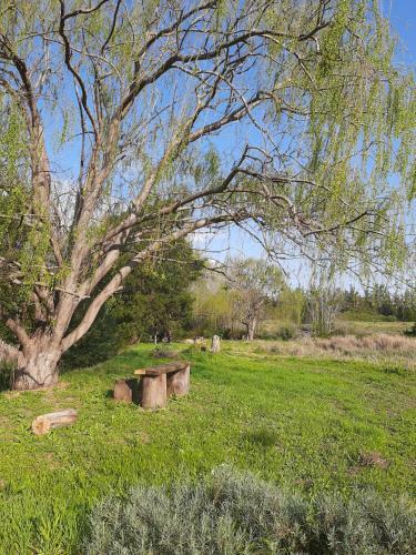 Klipfontein Rustic Farm & Camping