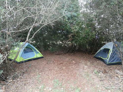 Klipfontein Rustic Farm & Camping