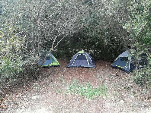 Klipfontein Rustic Farm & Camping