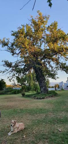 Klipfontein Rustic Farm & Camping