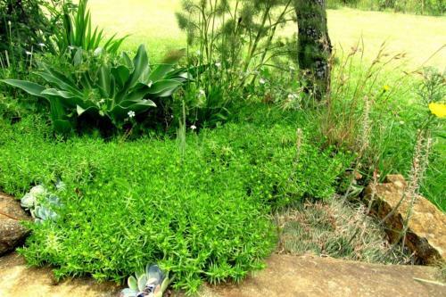 Apartamento Hamstead Farm Eco And Pet-friendly Cottage