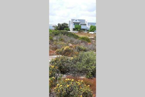 Apartamento Serenity