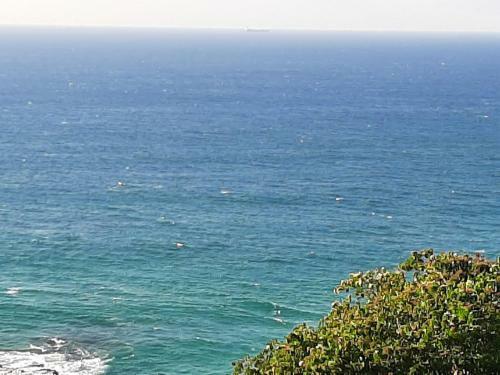 Apartamento Island Like Getaway On Umdloti Beach!