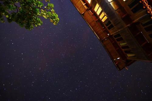 Longji Terrace Lavie Backpacker Hostel