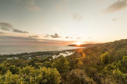 Constantia Views Villa Wilderness