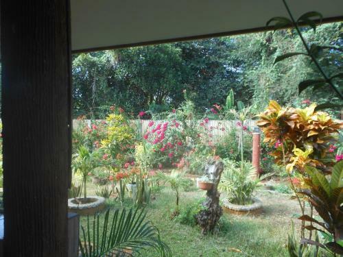 Hostal Jungle Flower Guest House