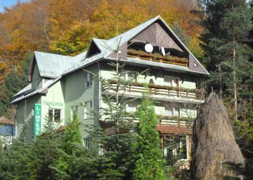 Hostal Pensiunea Limpedea