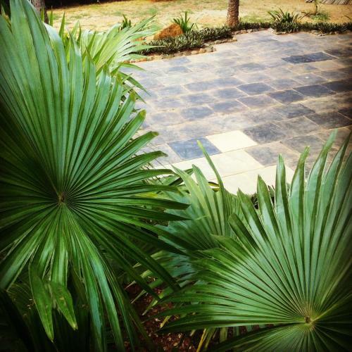 Hostal Secret Garden Resort
