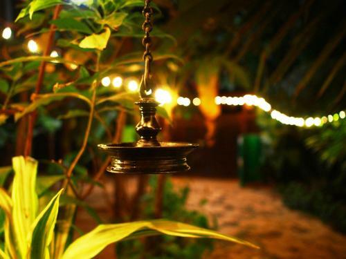 Hostal Secret Garden Resort