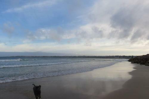 Our Cottage At The Sea The Kiffness