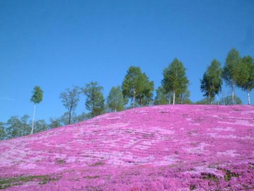 Takinoue Hotel Keikoku - Vacation Stay 32408v