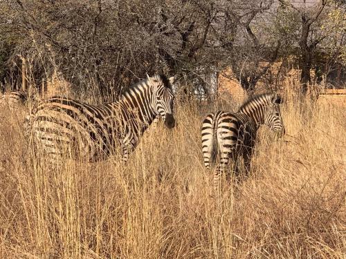 Makhato Bush Lodge 111