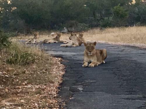Leopard Rock Bush Lodge