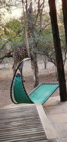 Mopani Manor