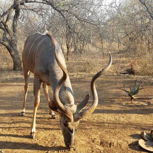 Villa Matumi Self Catering