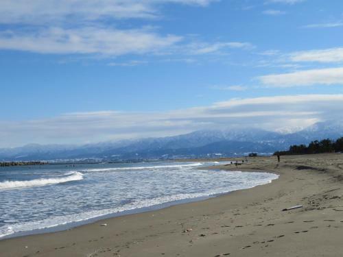 Bed & Breakfast Shirokuma Inn