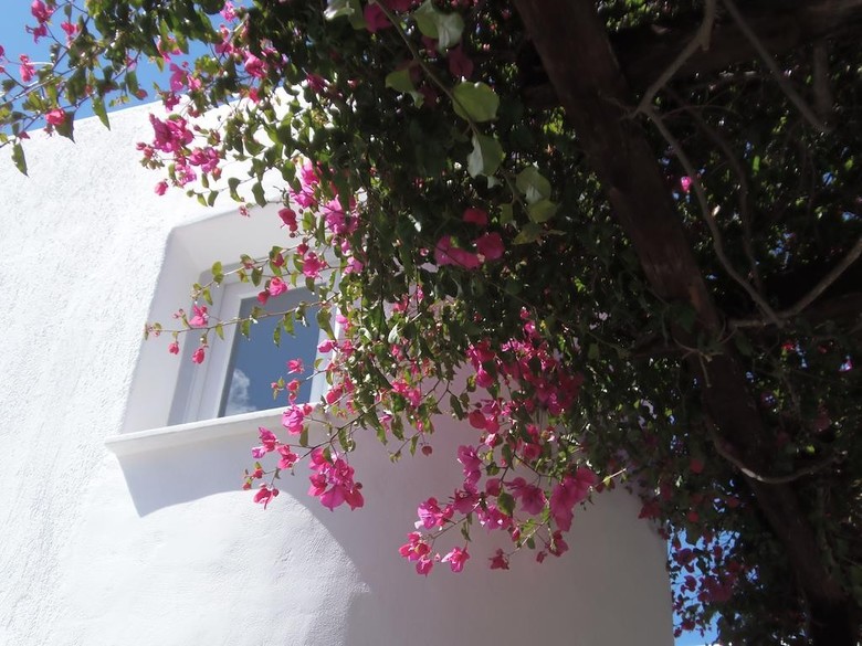 Hotel Manos