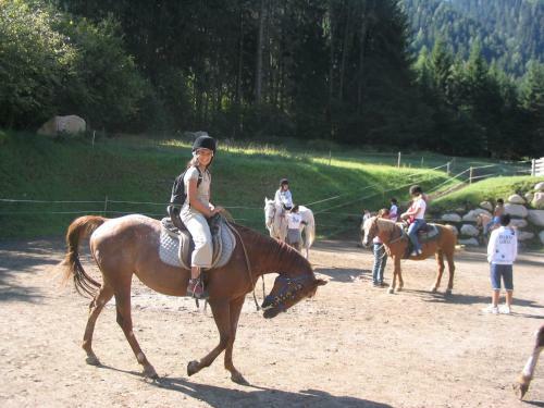 Camping Val Di Sole