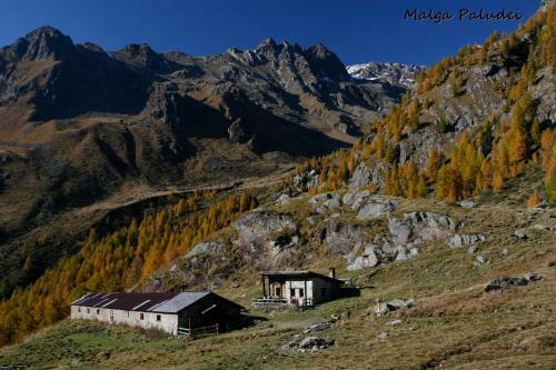 Camping Val Di Sole