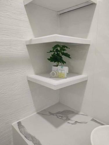 Hostal King Fa House