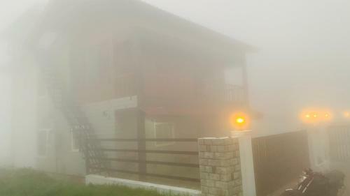 Kee2 Wood House