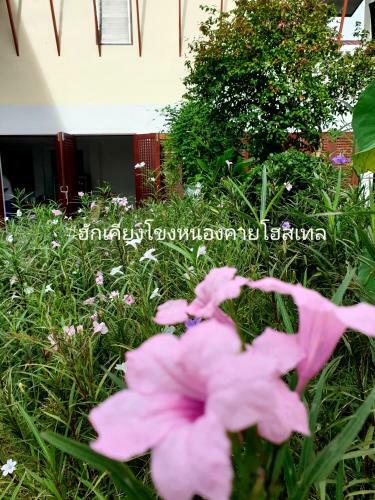 ??????????? Hug Khieng Khong Nongkhai Hostel