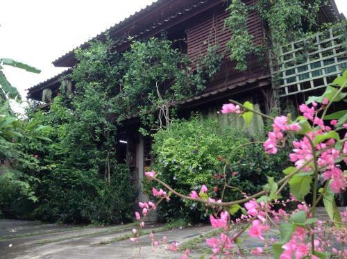 Banban Nannan Library And Guesthome
