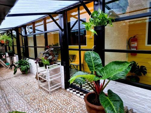 Hostal The One House