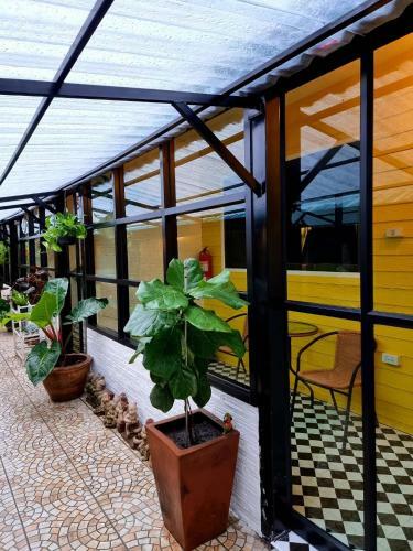 Hostal The One House