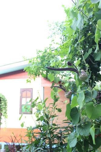 Hostal Pai Modern House