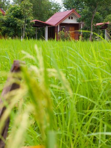 Hotel Jamsai Resort